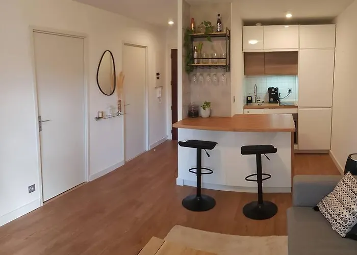 Avec Parking Et Piscine - Proche Airport Apartment *