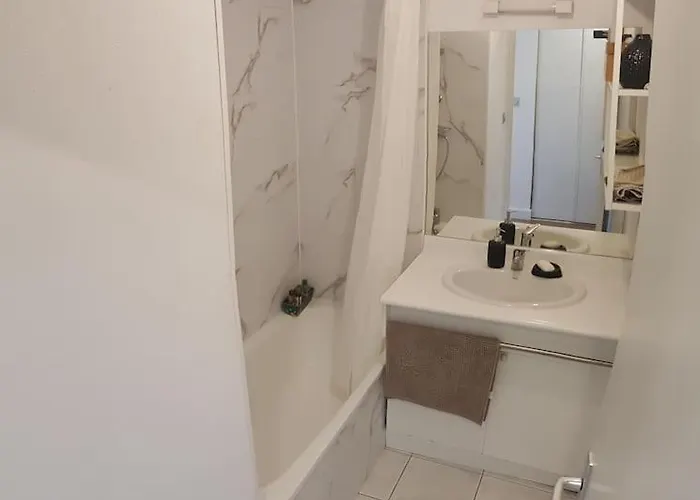 Avec Parking Et Piscine - Proche Airport * Blagnac