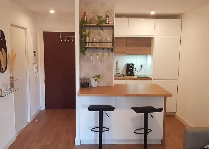 Avec Parking Et Piscine - Proche Airport * Blagnac